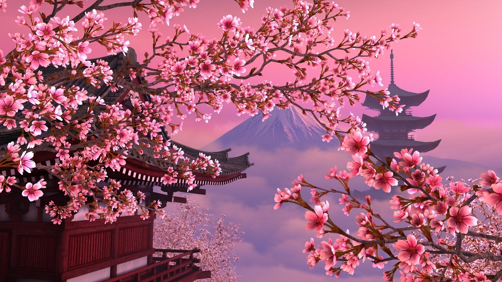 Sakura Wallpaper Image Photos Pictures Background