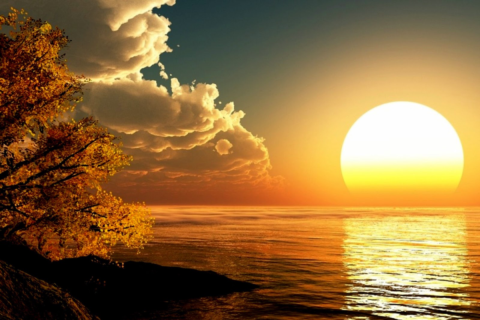Very Beautiful HD Wallpaper