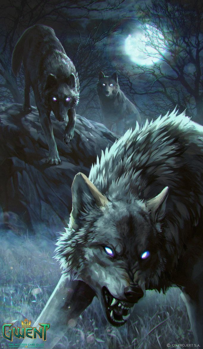 Awesome Wolf iPhone Wallpaper Top