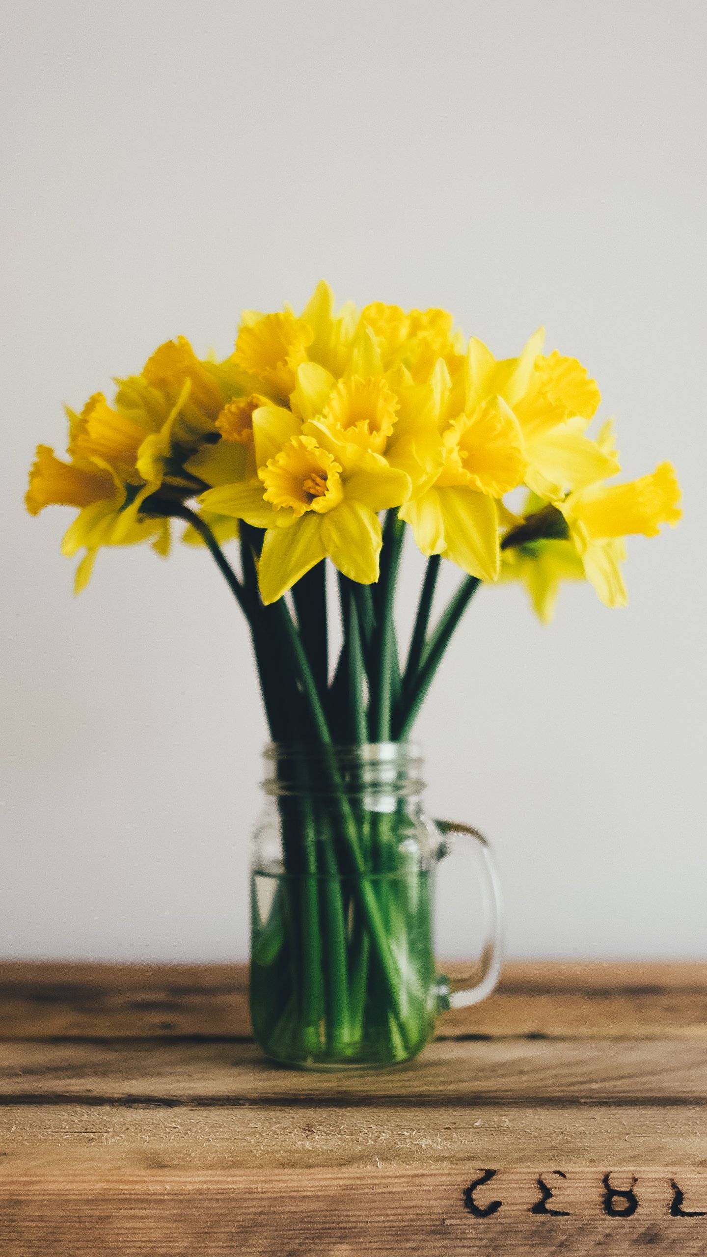 Daffodils Wallpaper iPhone Android Desktop Background