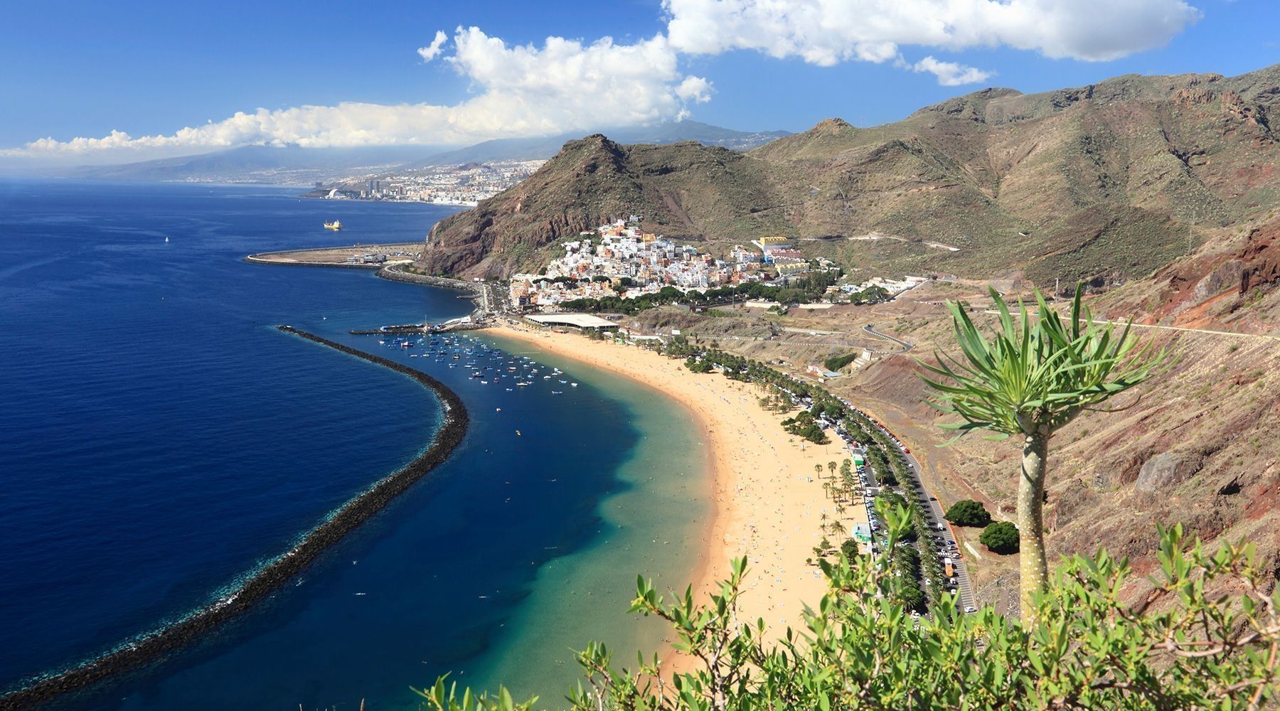 Tenerife Canary Islands Picture HD Wallpaper