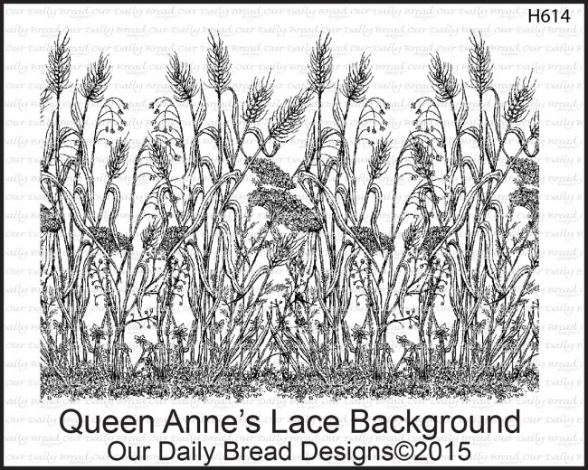Home Queen Anne S Lace Background