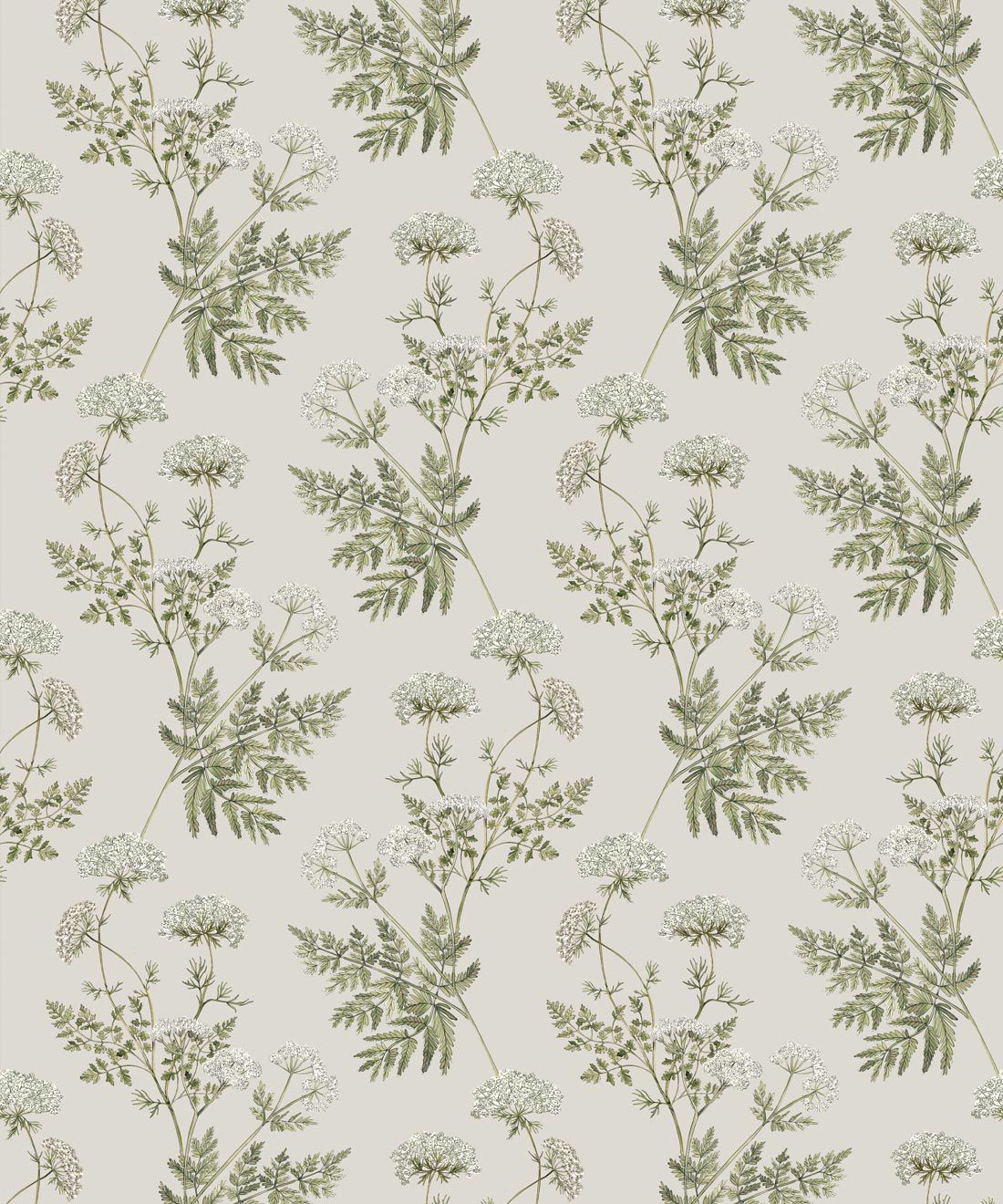 Cicely Wallpaper Vintage Wildflower Milton King
