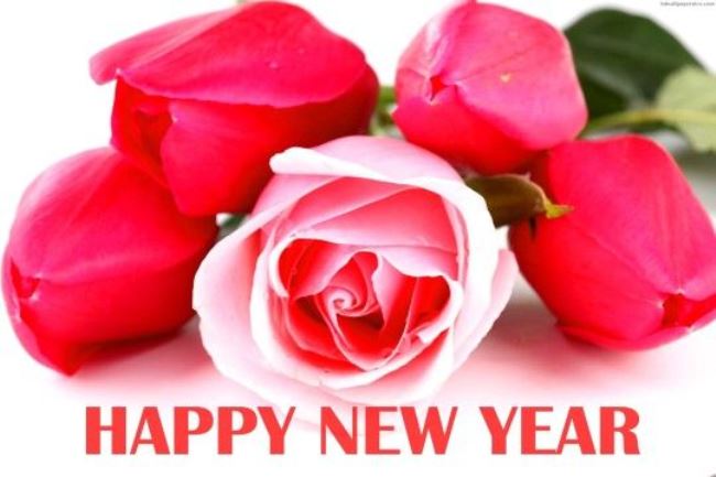 Happy New Year Rose Wallpaper For Cute Girls And Women