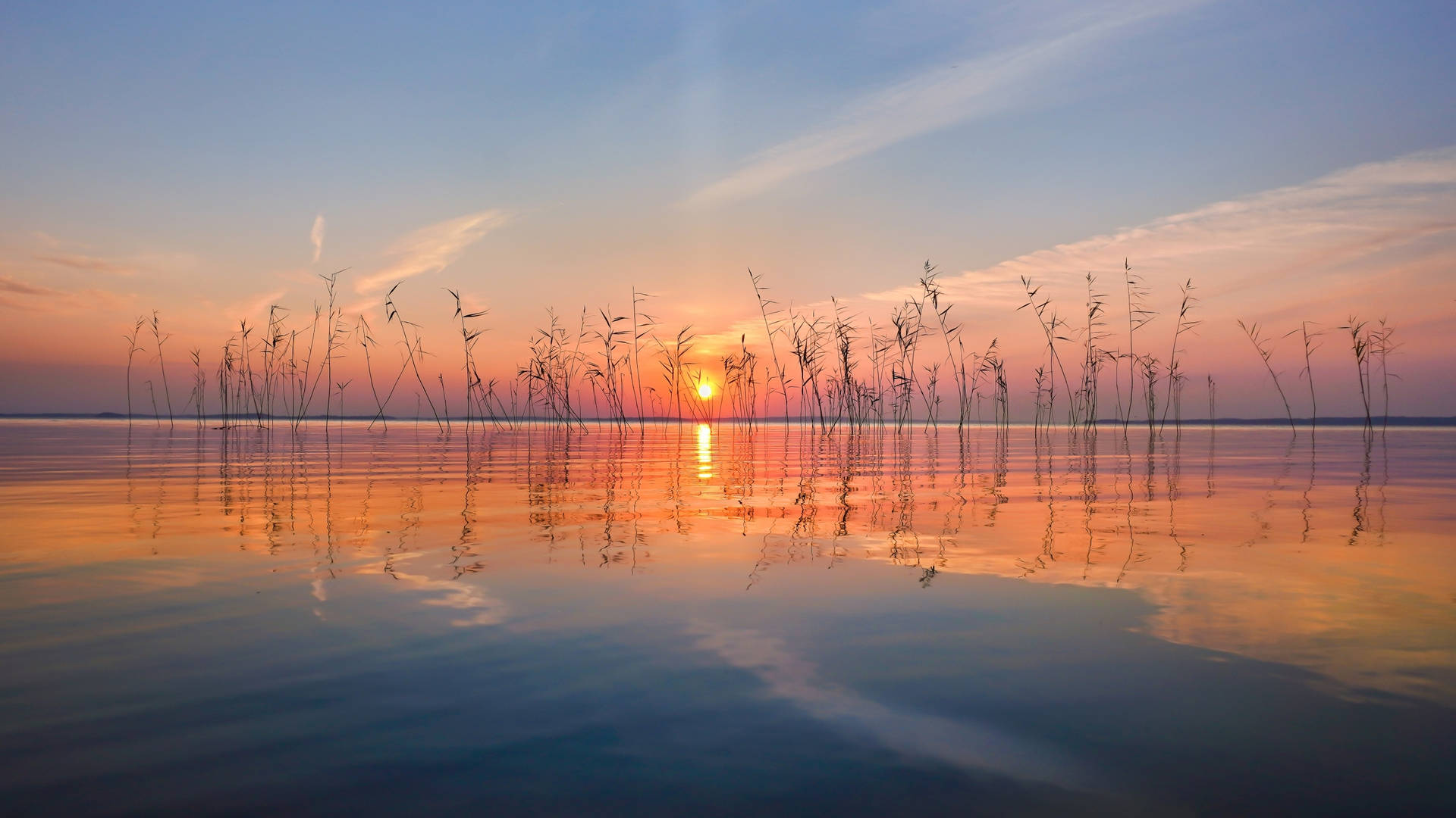 Nature Wallpaper