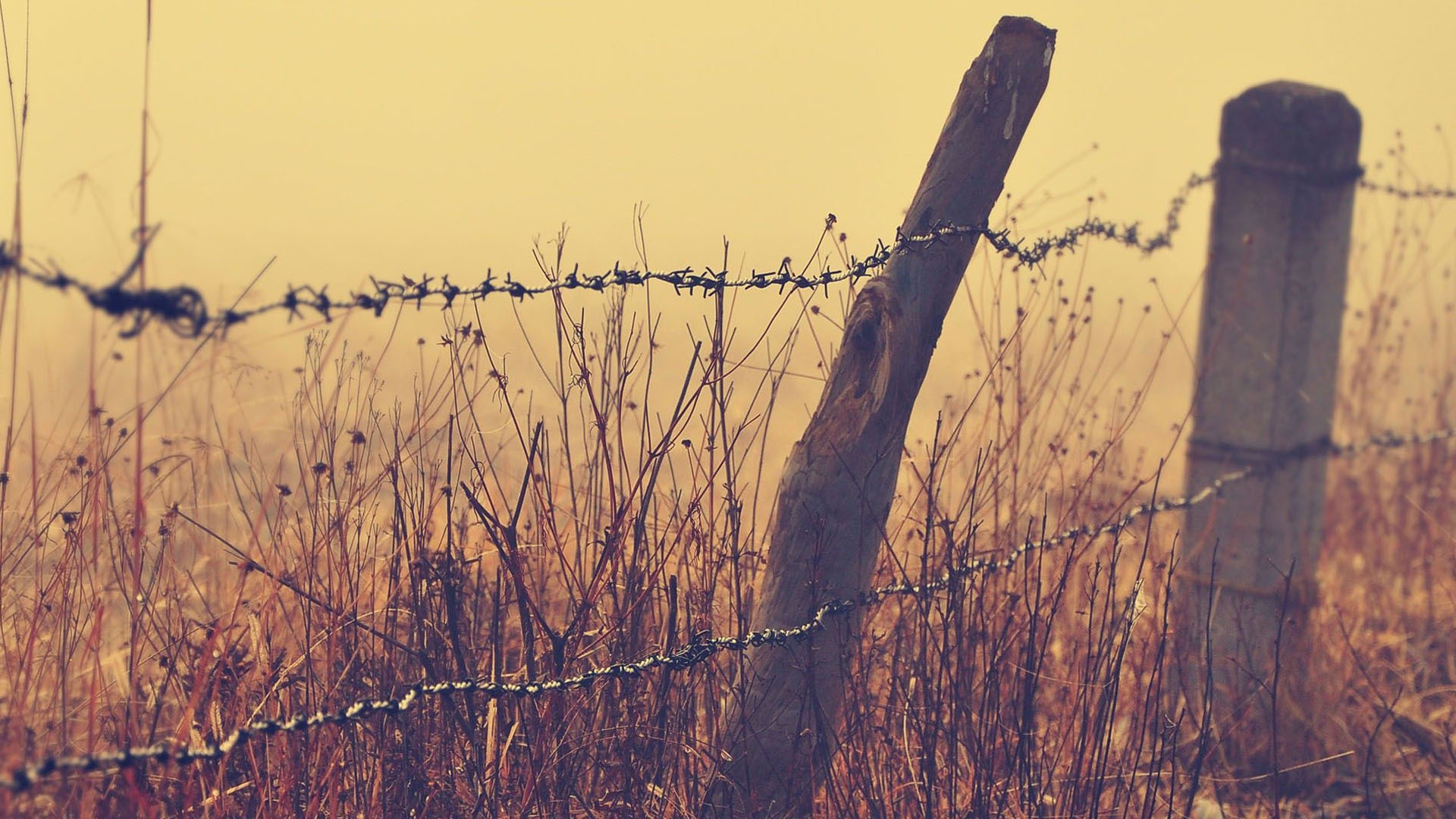 Barbed Wire Fence Wallpaper Px