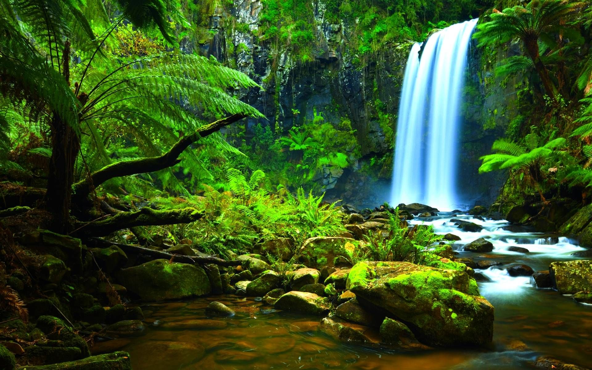 Wallpaper Lovely Waterfall In The Woods High Quality