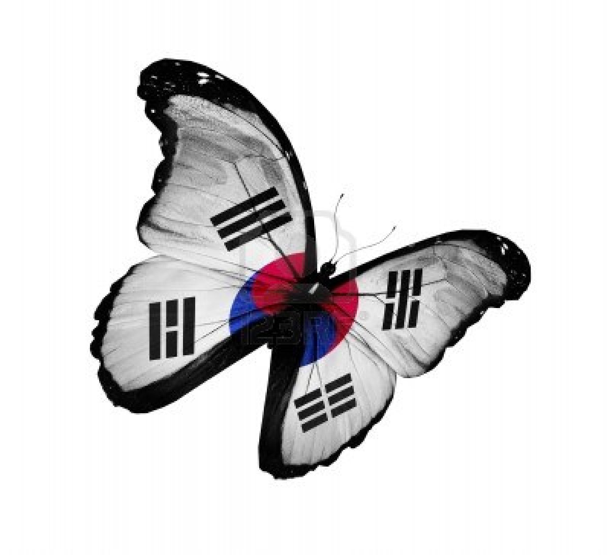 South Korea Flag Butterfly Flying Isolated On White Background
