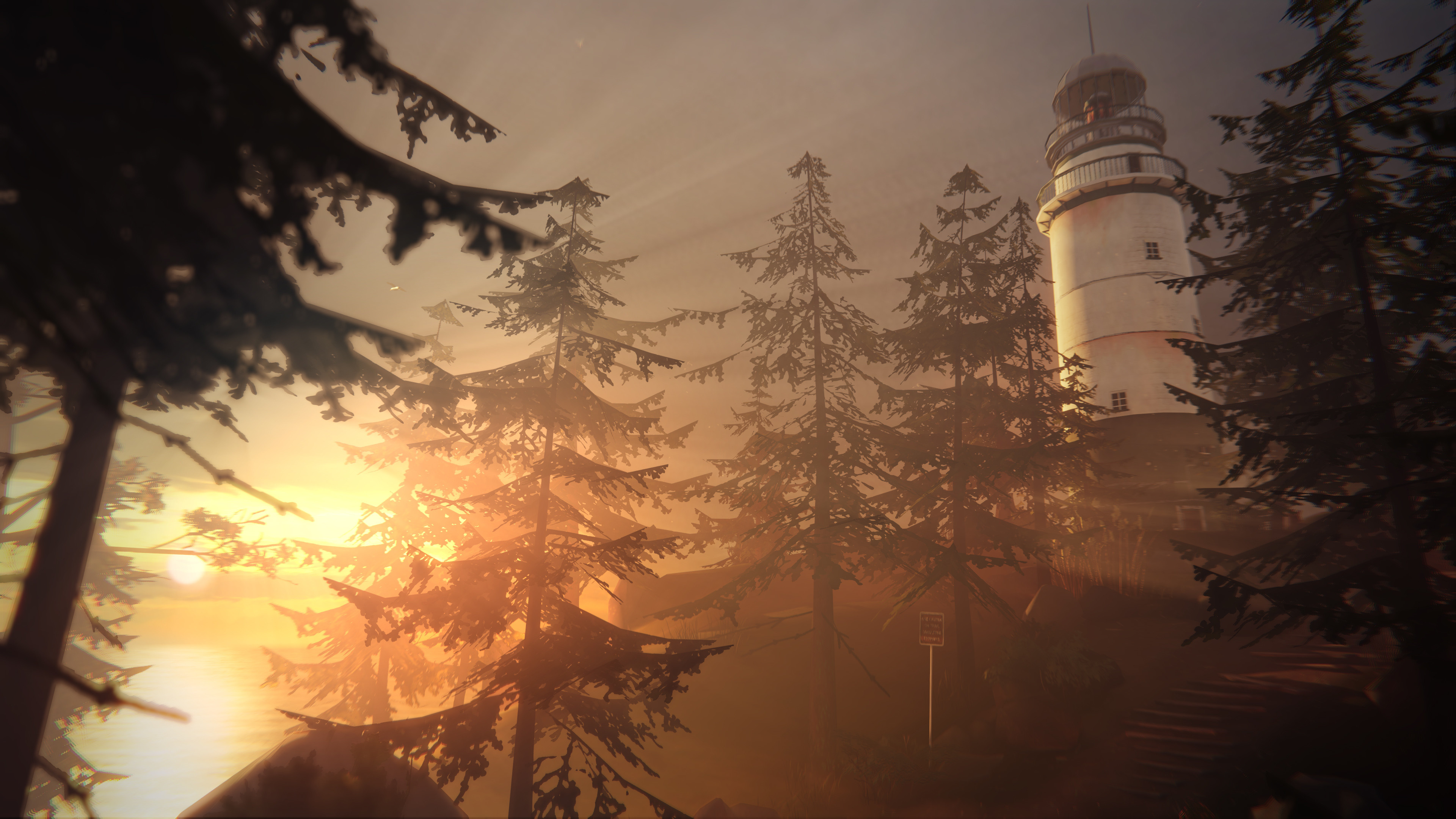 Life Is Strange Wallpaper