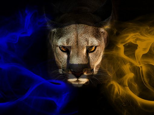 Pumas Unam Wallpaper To Your Cell Phone Campeon Football