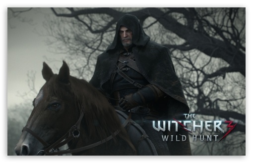 The Witcher Wild Hunt HD Wallpaper For Wide Widescreen