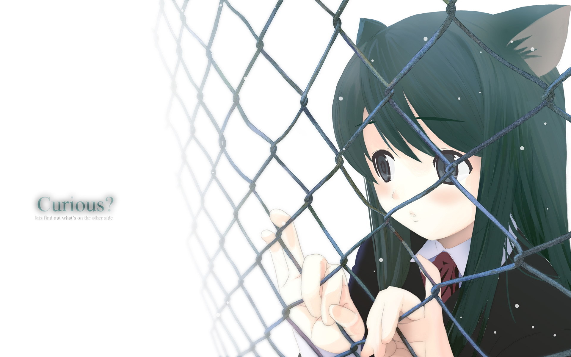 Free Download Curious Neko Anime Characters Wallpaper 7368623