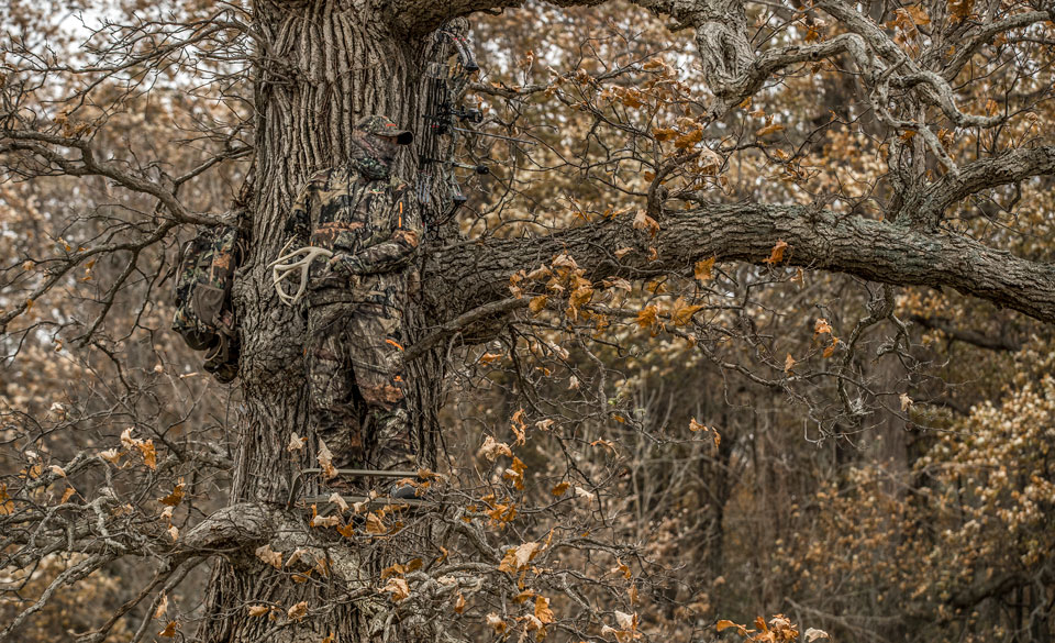 Strap In Tether Up Tree Stand Safety For Hunters Mossy Oak