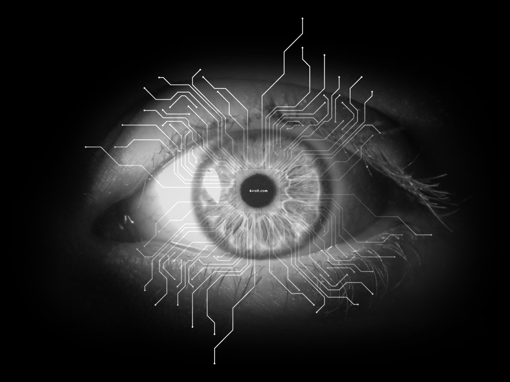 Set Electric Sheep Wallpaper