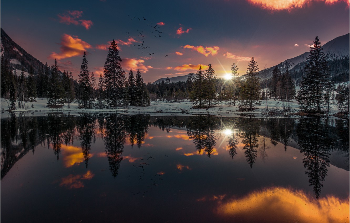 Wallpaper Winter Forest The Sky Sunset Mountains Birds Lake
