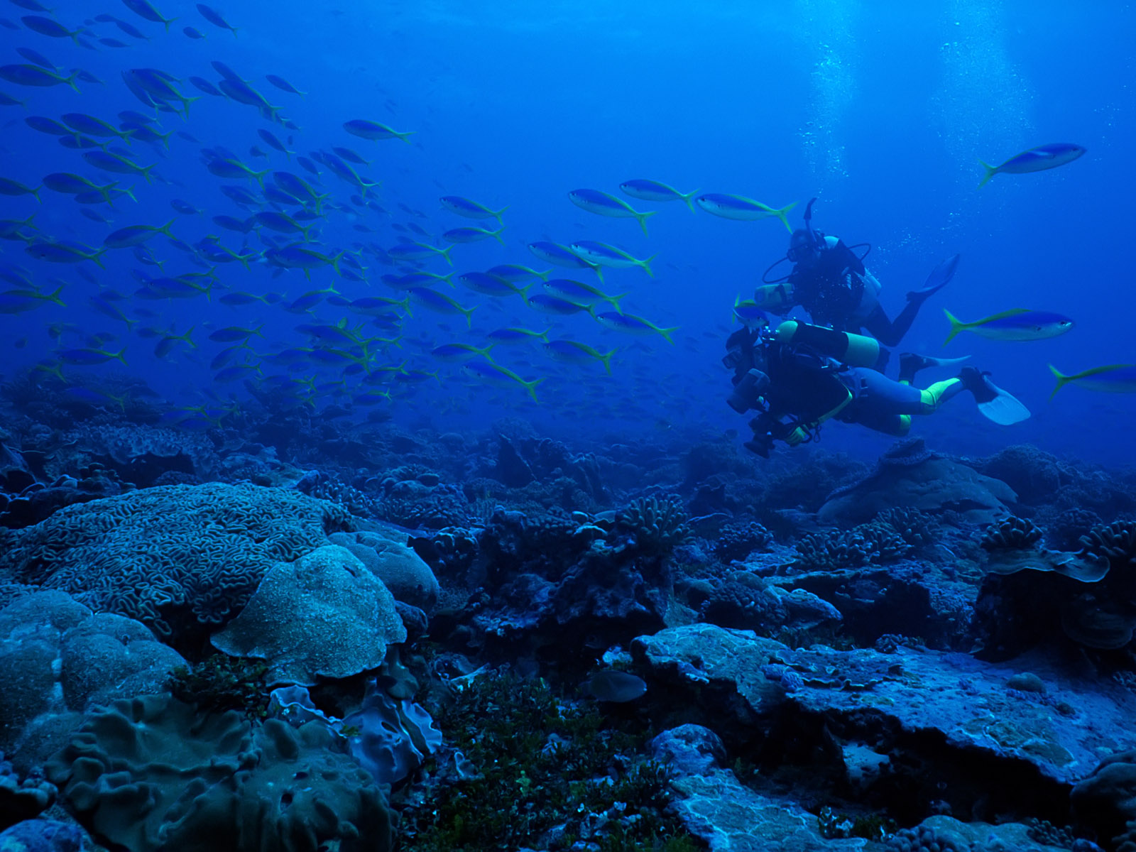 Deep Sea Diving Definition