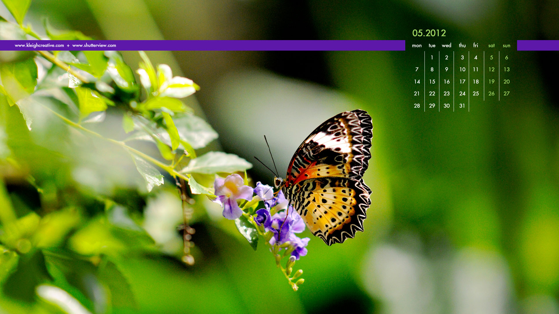 Free Download Free May Calendar Wallpapersgift Digital Background Free Download Free May Calendar Wallpapersgift Digital Background