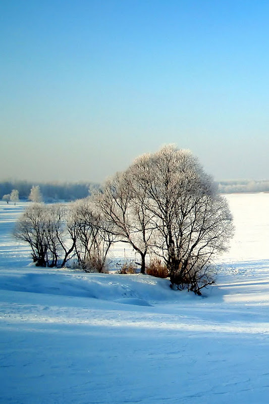 🔥 [45+] Winter Scenes Wallpaper for iPhone | WallpaperSafari