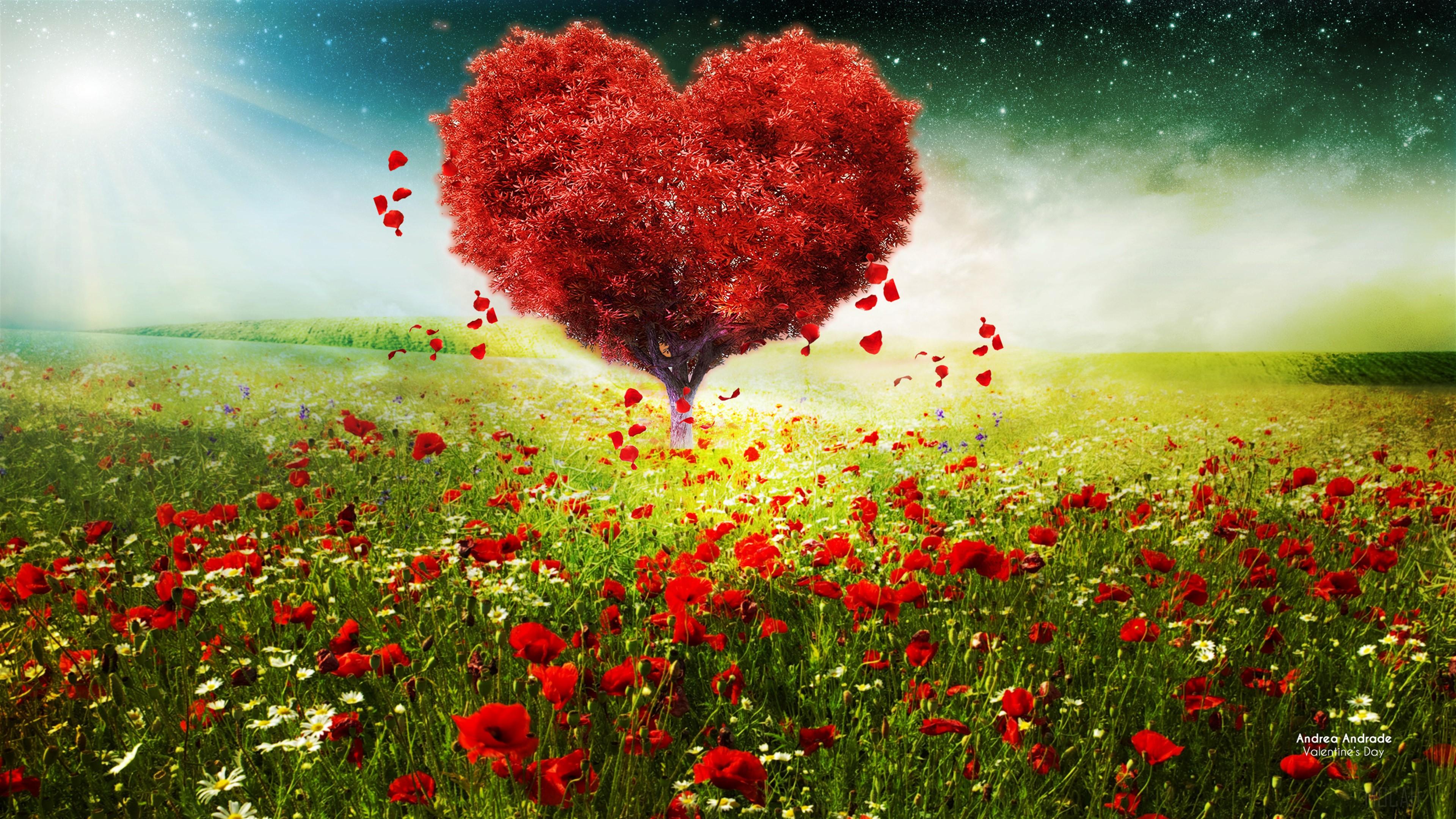Valentines Day Love Heart Tree Landscape HD 4k Rare