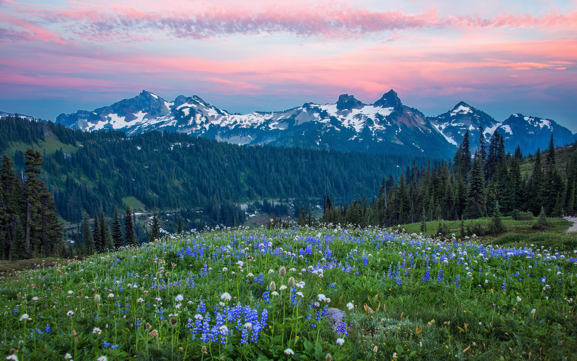 Mount Rainier Washington Clouds HD Wallpaper