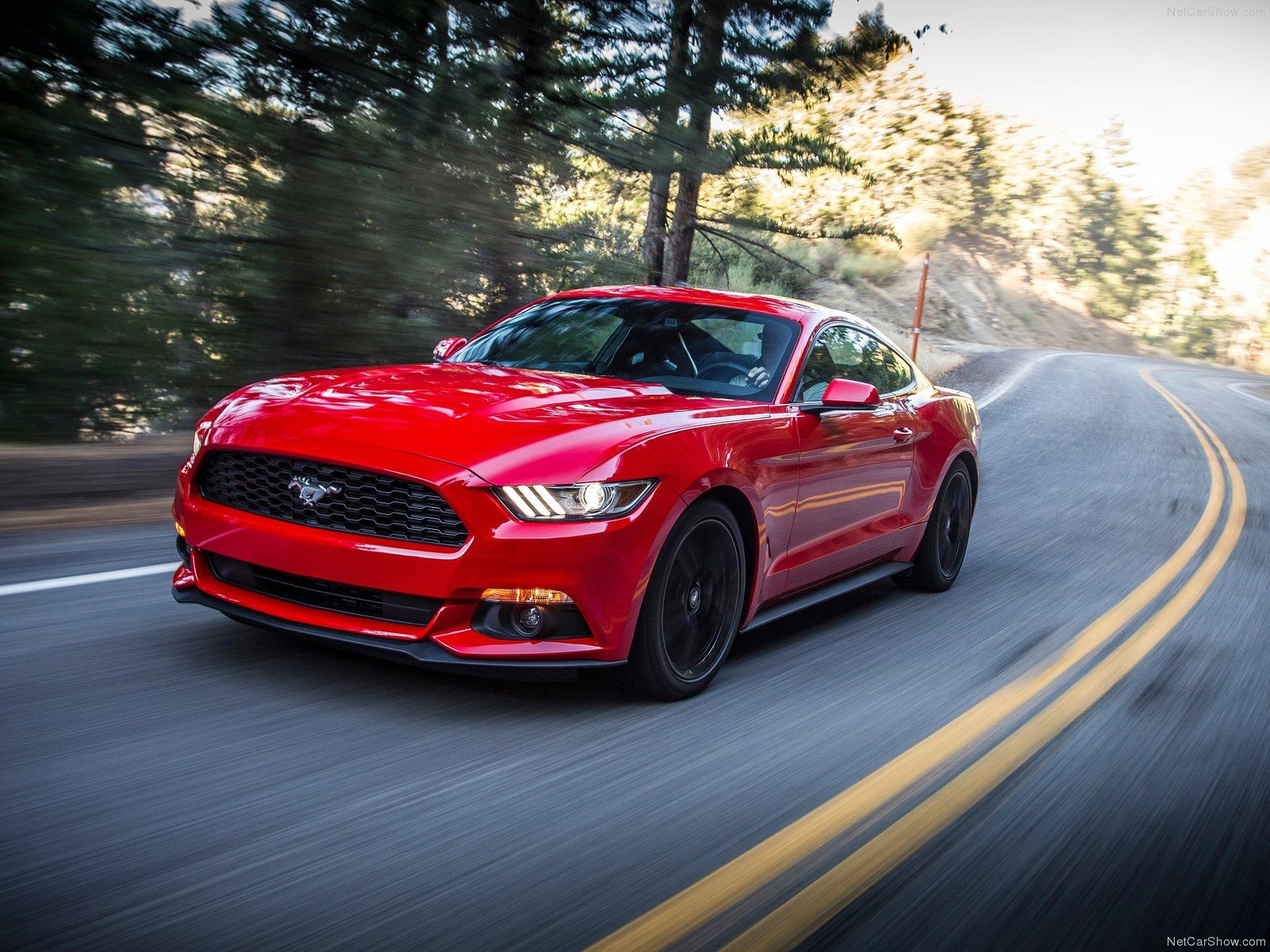 Nothing Found For Ford Mustang HD Wallpaper