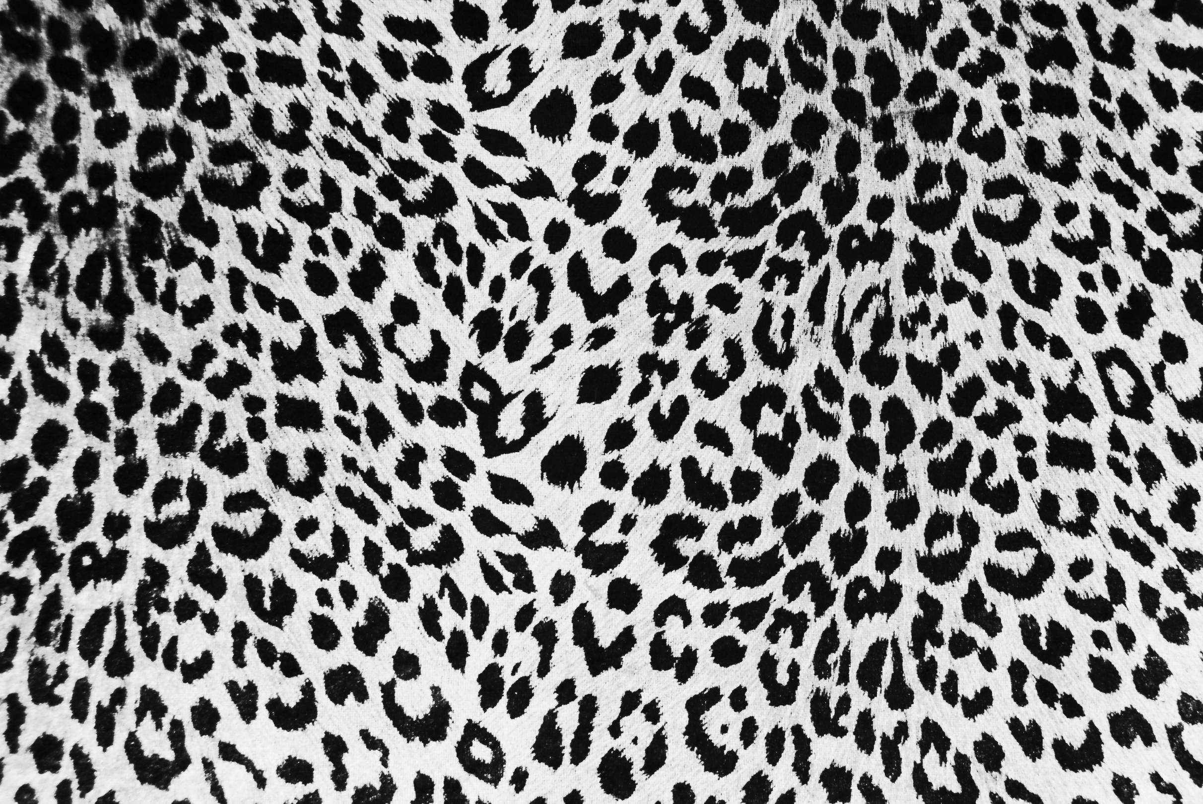Leopard Skin Wallpaper Mobile 4g4 Px Kb Animal Blue
