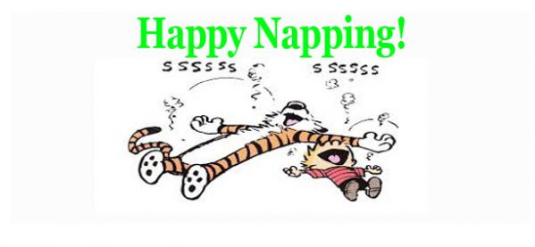 Take A Nap It S National Napping Day Laughtard