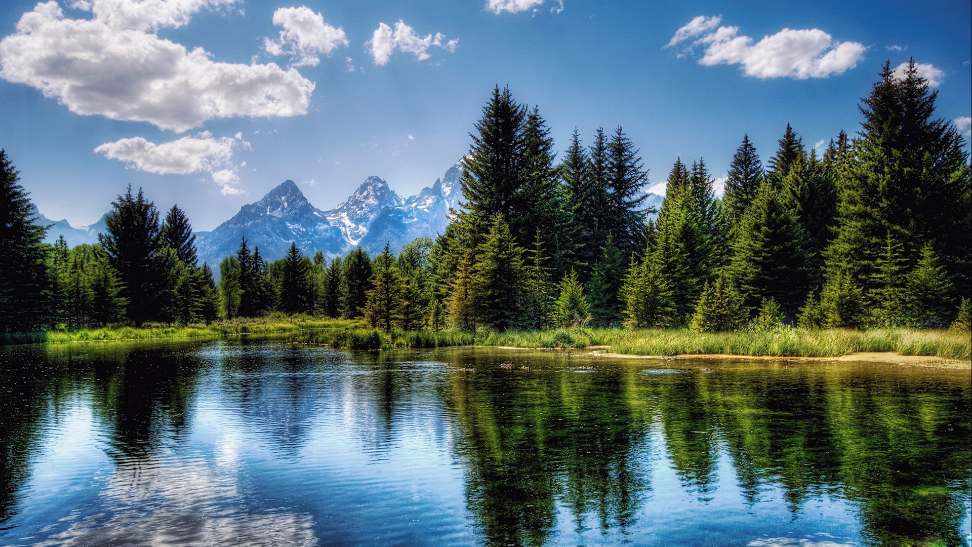 Serene lake reflecting majestic snow-capped mountains and lush evergreen forest in Grand Teton National Park