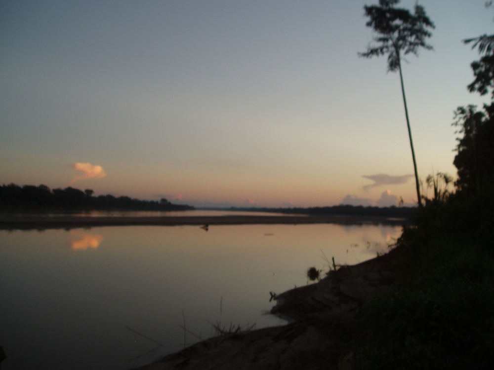 Peru Anatta