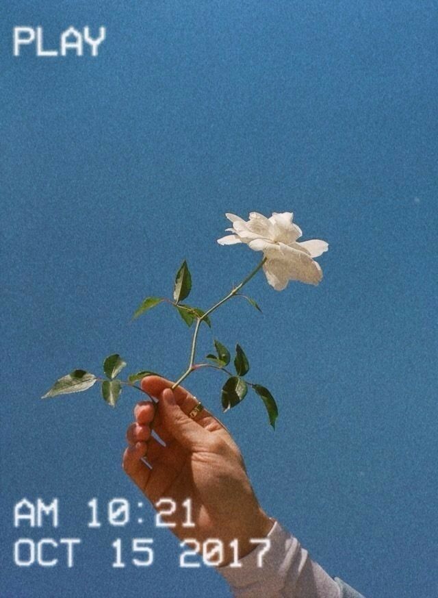 Yoursoulmyheart Aesthetic Bitch Wallpaper Blue