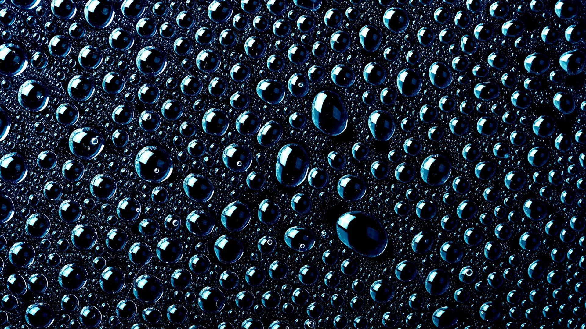 Water Drops On A Black Surface Wallpaper