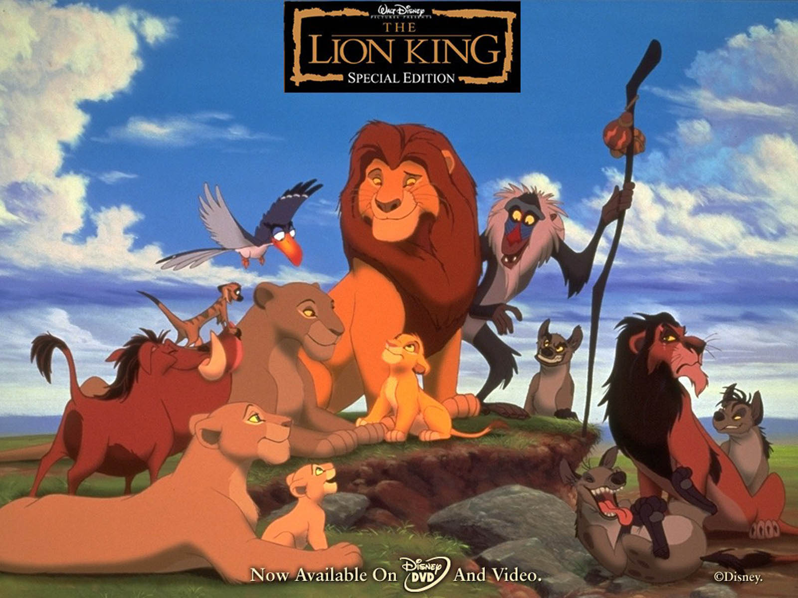 The Lion King Wallpaper