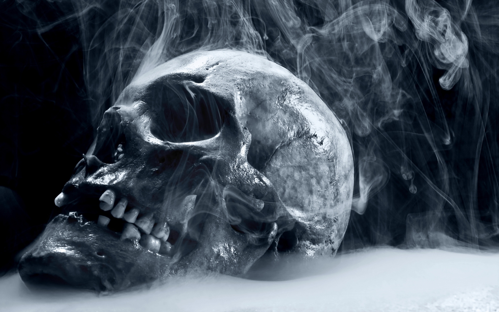 Scary Frozen Skull Wallpaper HD
