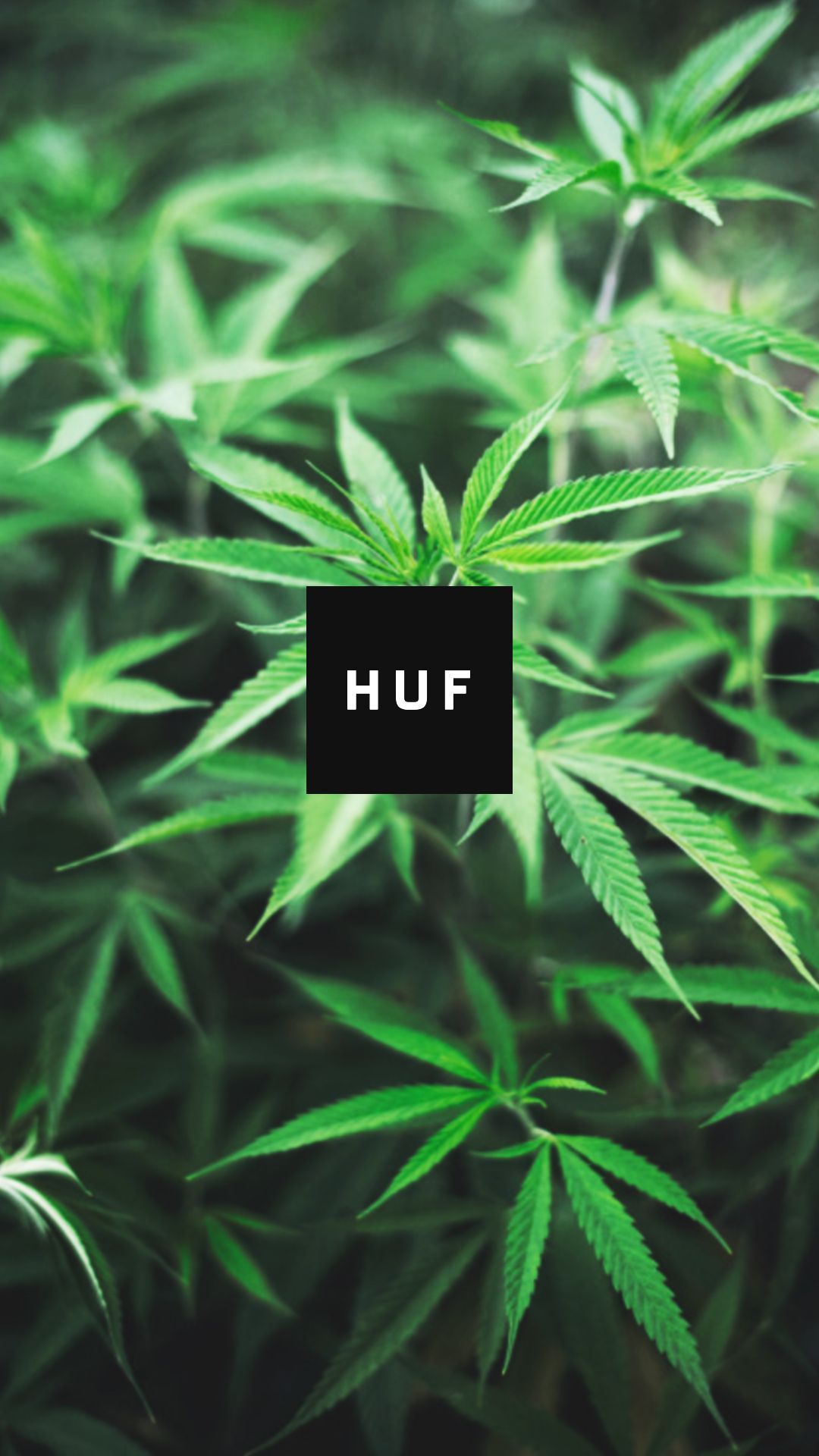Huf Weed Wallpaper On