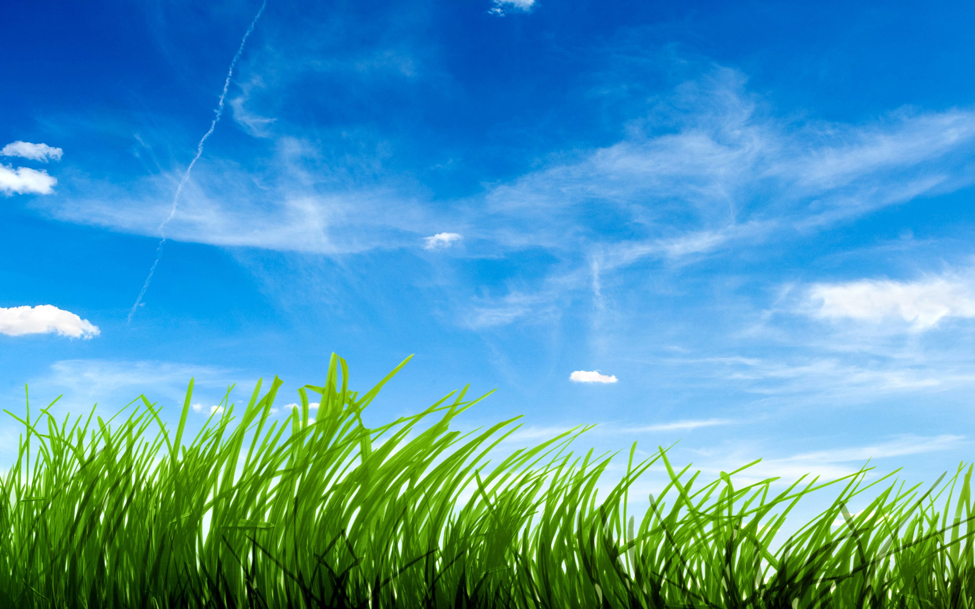 Sky Grass Wallpaper Full HD With Px Kb