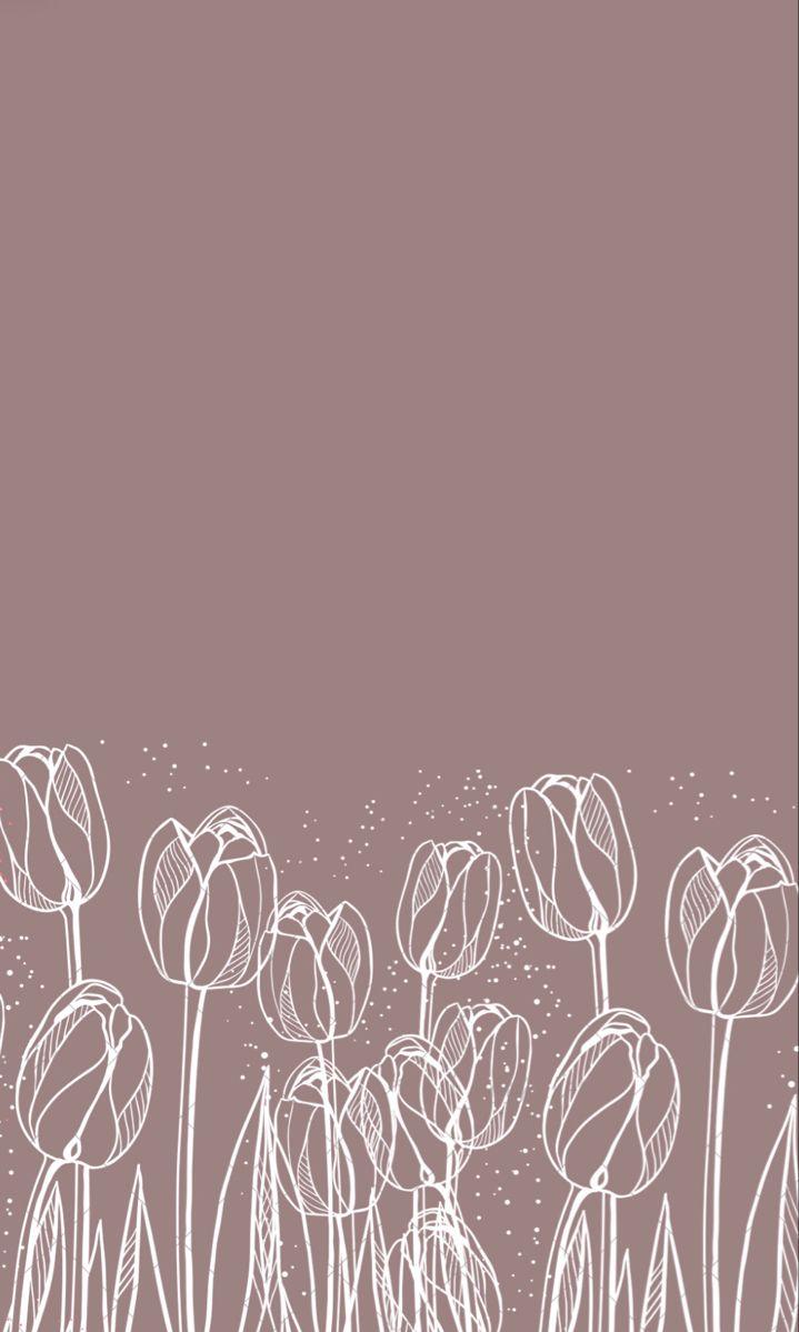 Tulip Wallpaper Neutral White Instagram Spring Flowery