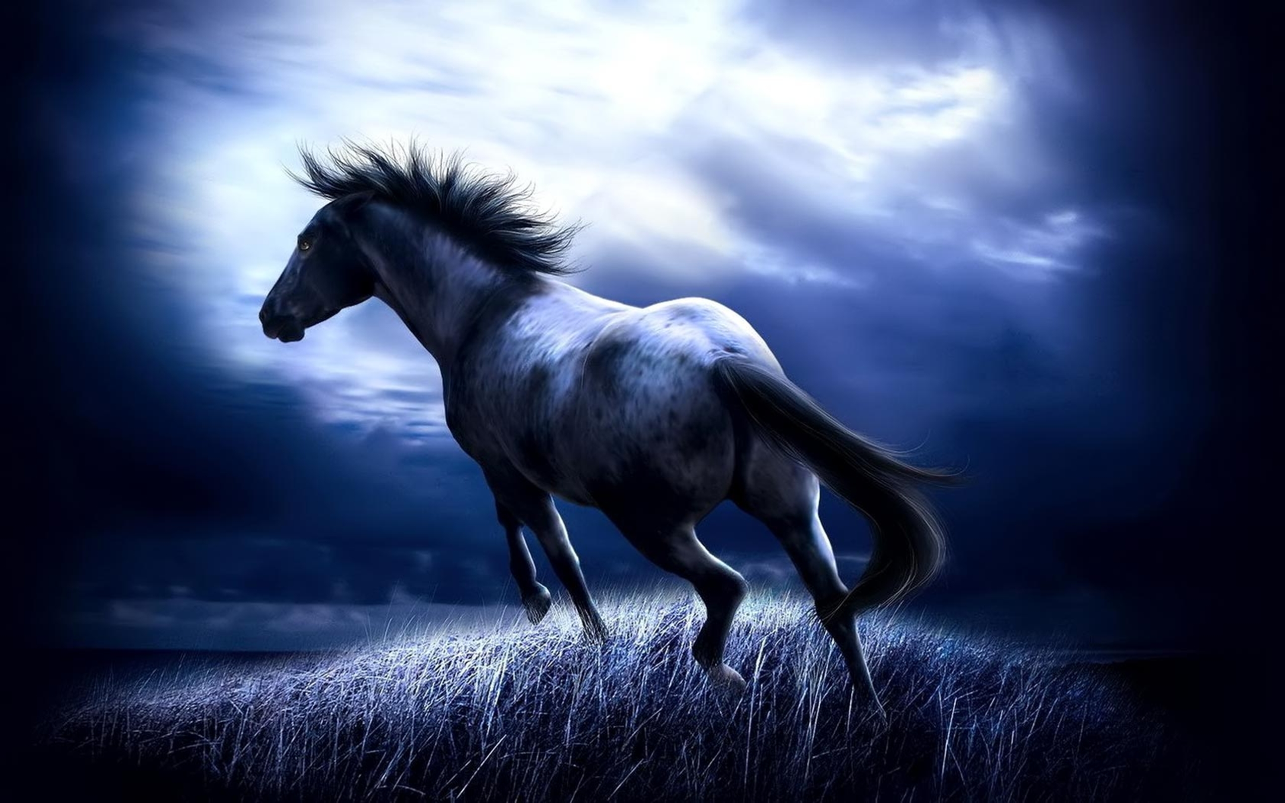 44 Fire Horse Wallpaper On Wallpapersafari