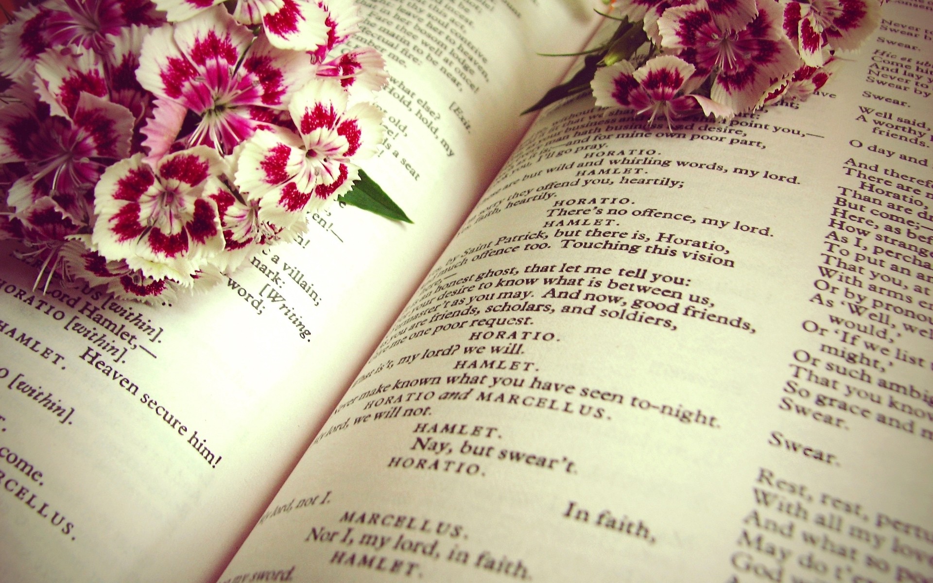 Flower Hamlet Shakespeare Book Photography Still Life HD Wallpaper