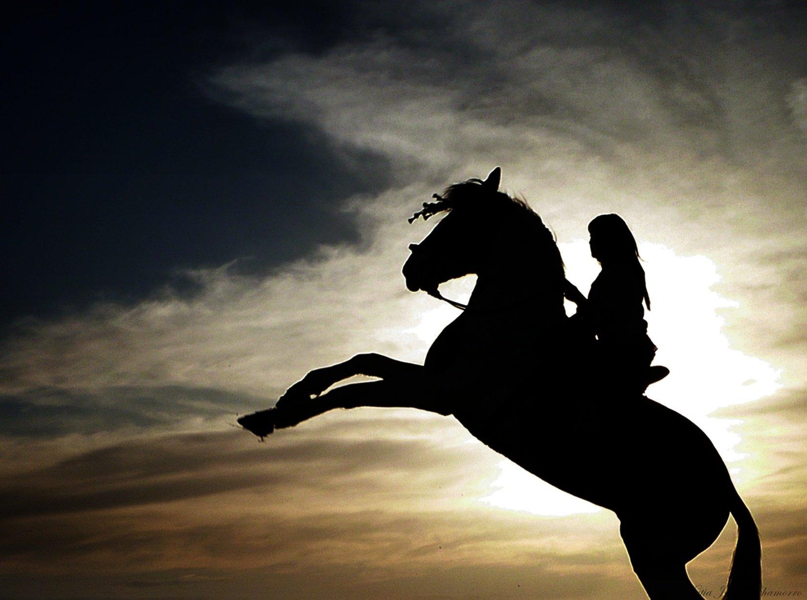 Animal Horse Beautiful Girl Sunset Wallpaper HD Desktop And