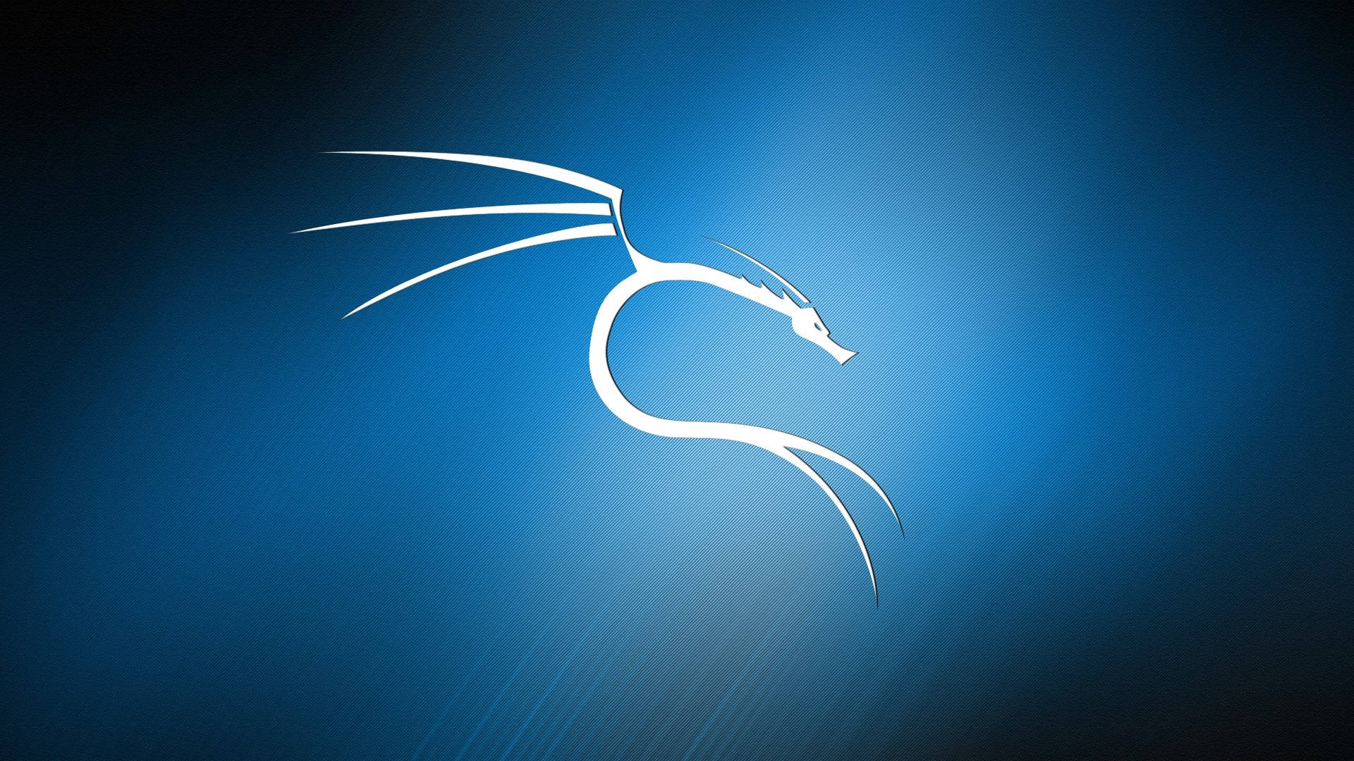Kali Linux Os Dragon Blue Rry6ihvjzqayulst Wallpaper