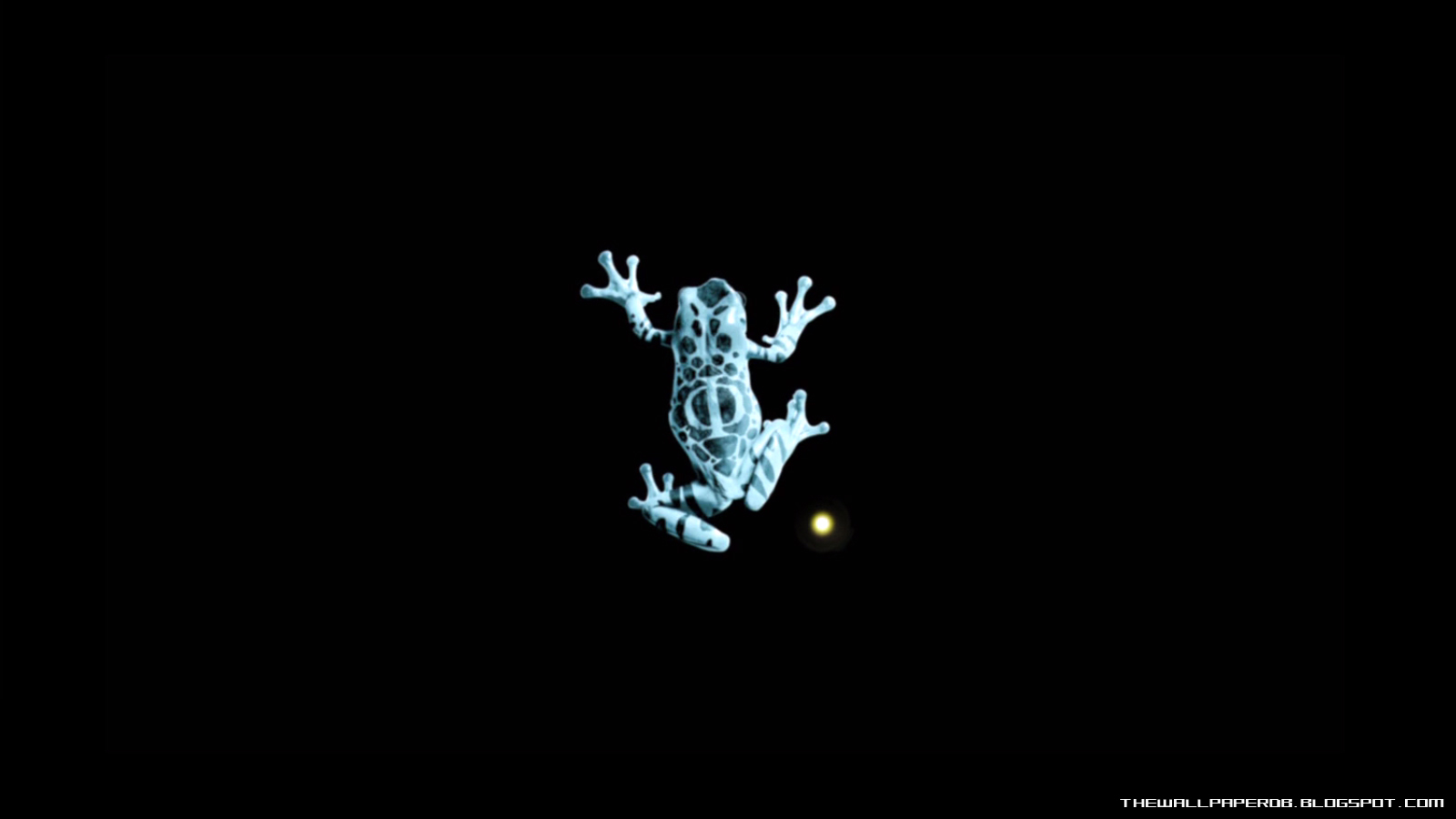 Frog Pic of Fringe TV Series HD Wallpaper The Wallpaper Database