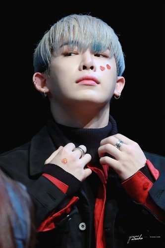 Monsta X images Wonho HD wallpaper and background photos
