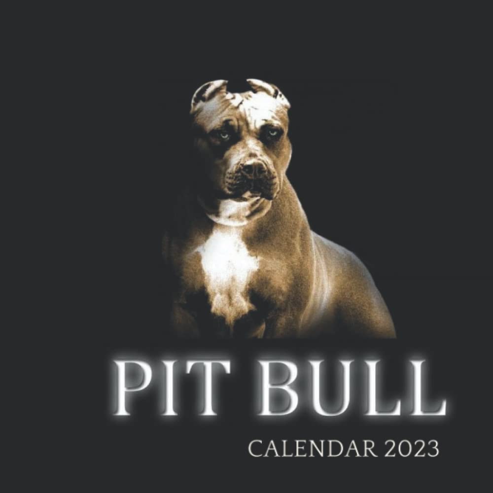 Pit Bull Calendar A Beautiful Photo X