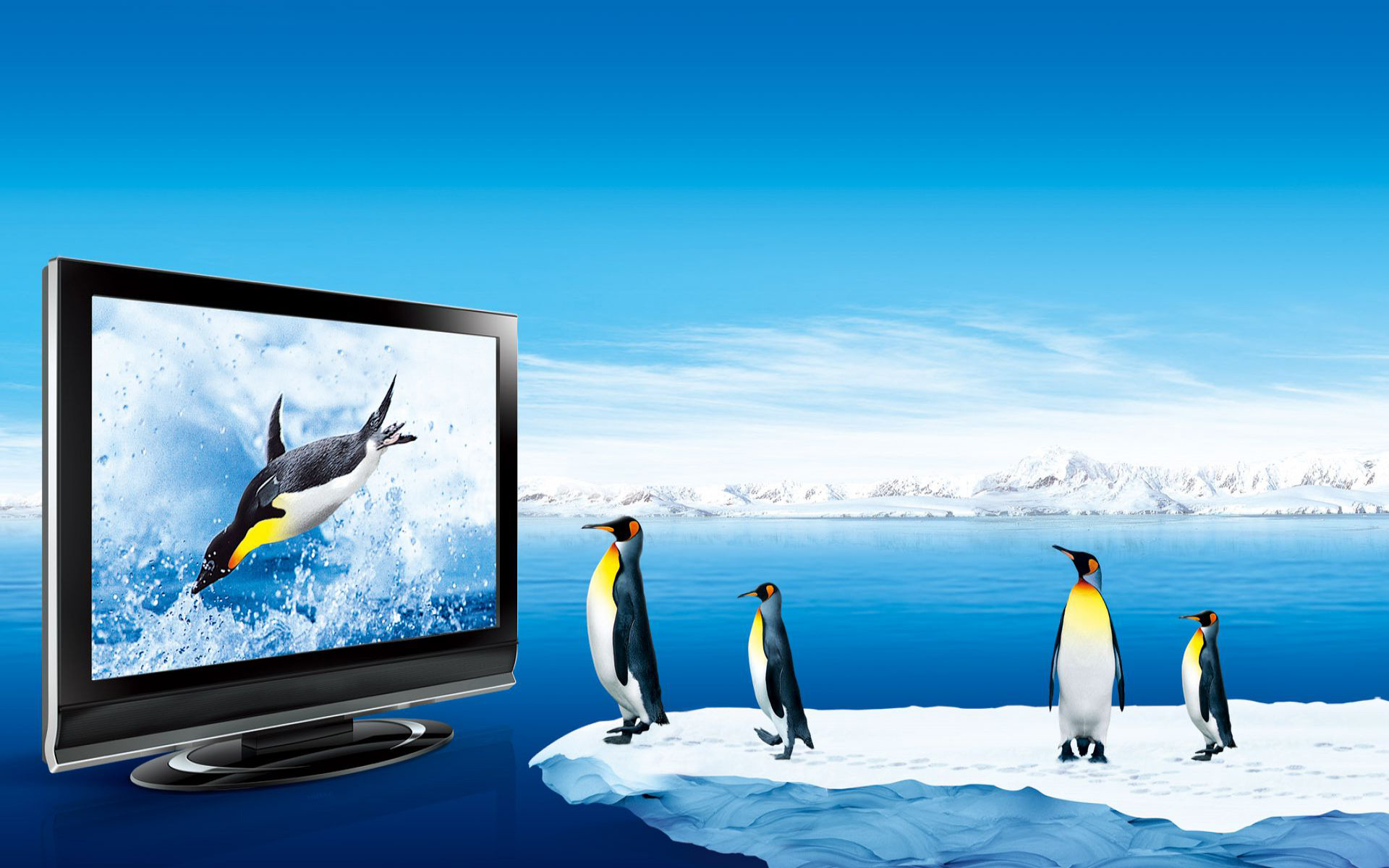 Penguins Watching Tv Wallpaper