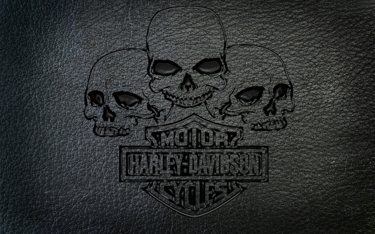 Harley Davidson Skull Wallpaper httpwwwhdforumscomforumgeneral