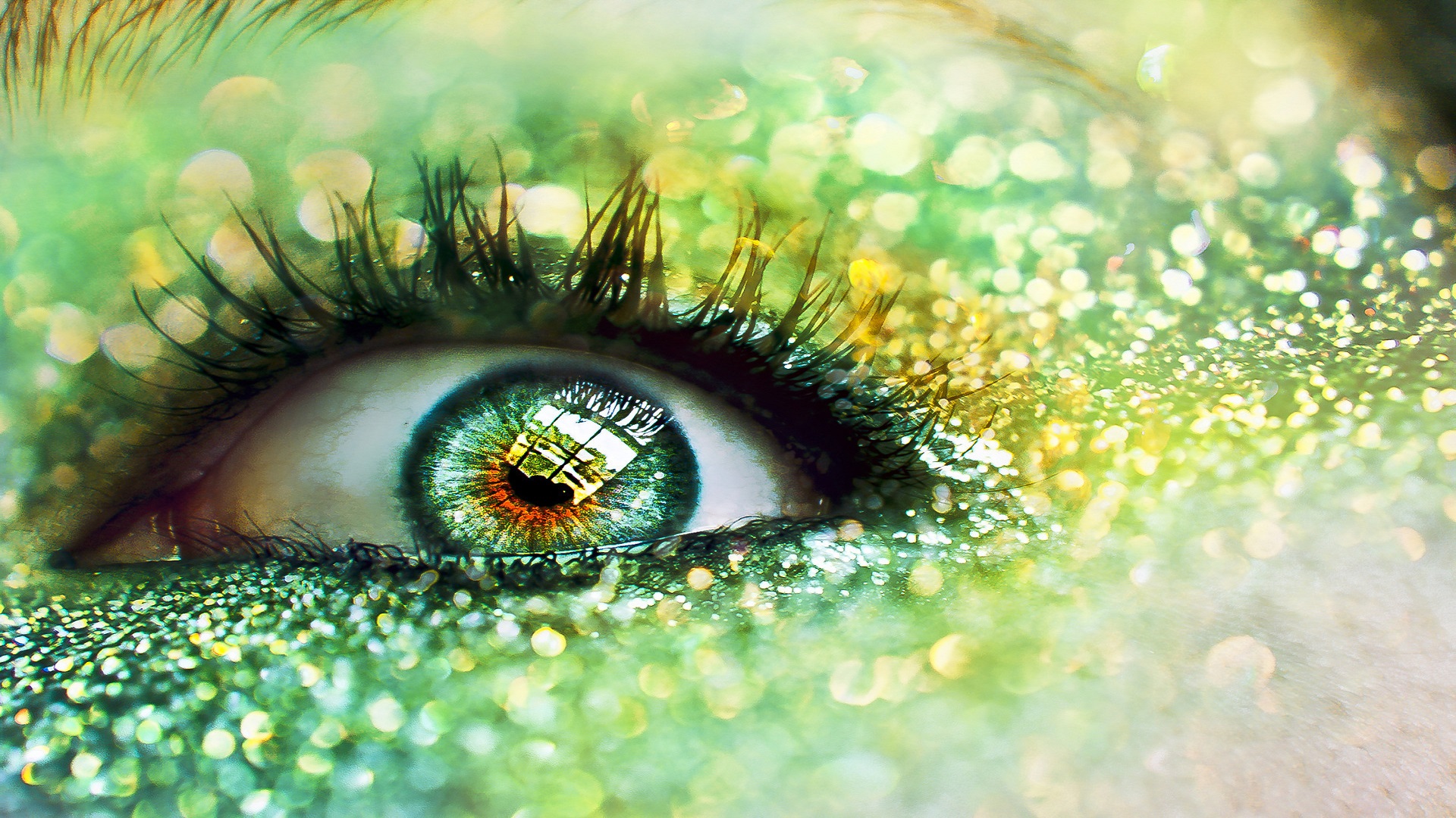 Green Eyes Stock Photos Images and Backgrounds for Free Download