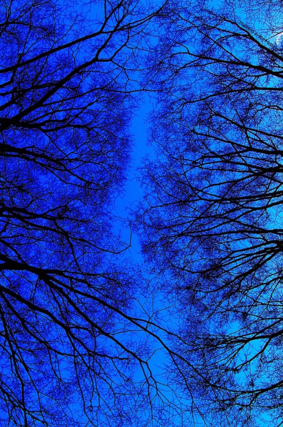Aesthetic Wallpaper Blue Dark