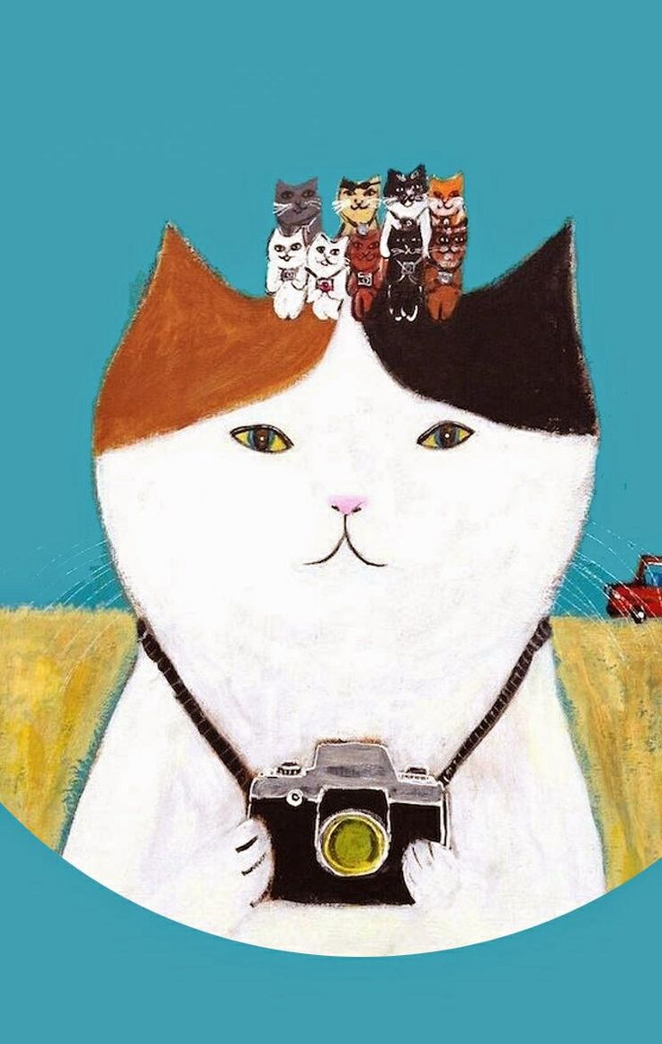 Cute Cat iPhone Wallpaper Extra Art
