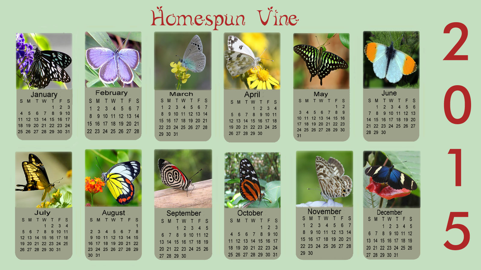 2015 Butterflies Desktop Wallpaper With Calendar Homespun Vine