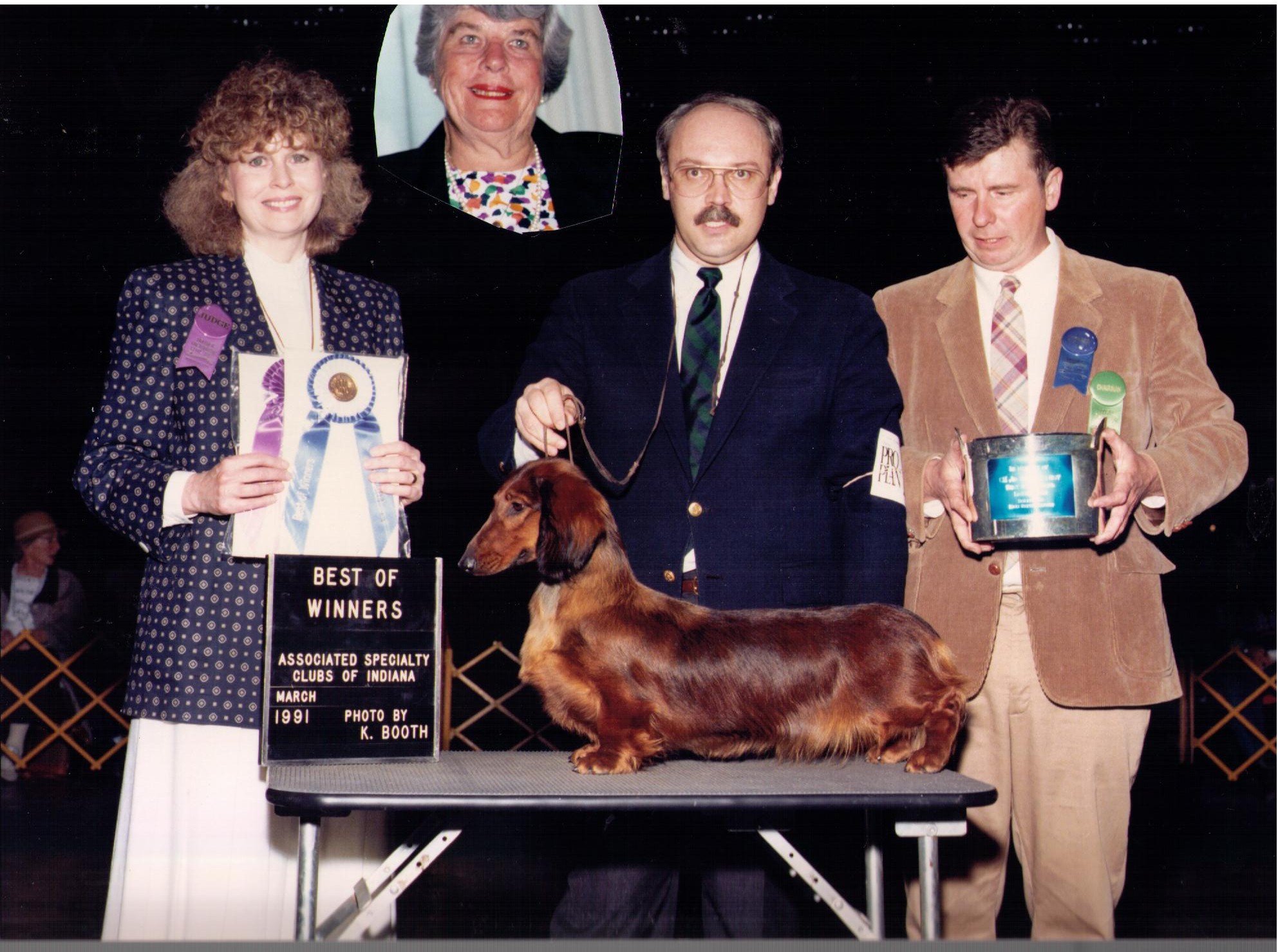 The History Of The Dachshund: A Hunter With A Big Heart